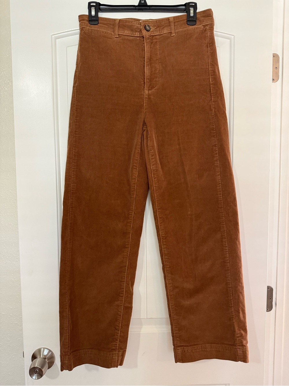 Everlane Women's Corduroy Wide-Leg Pants in Rust
